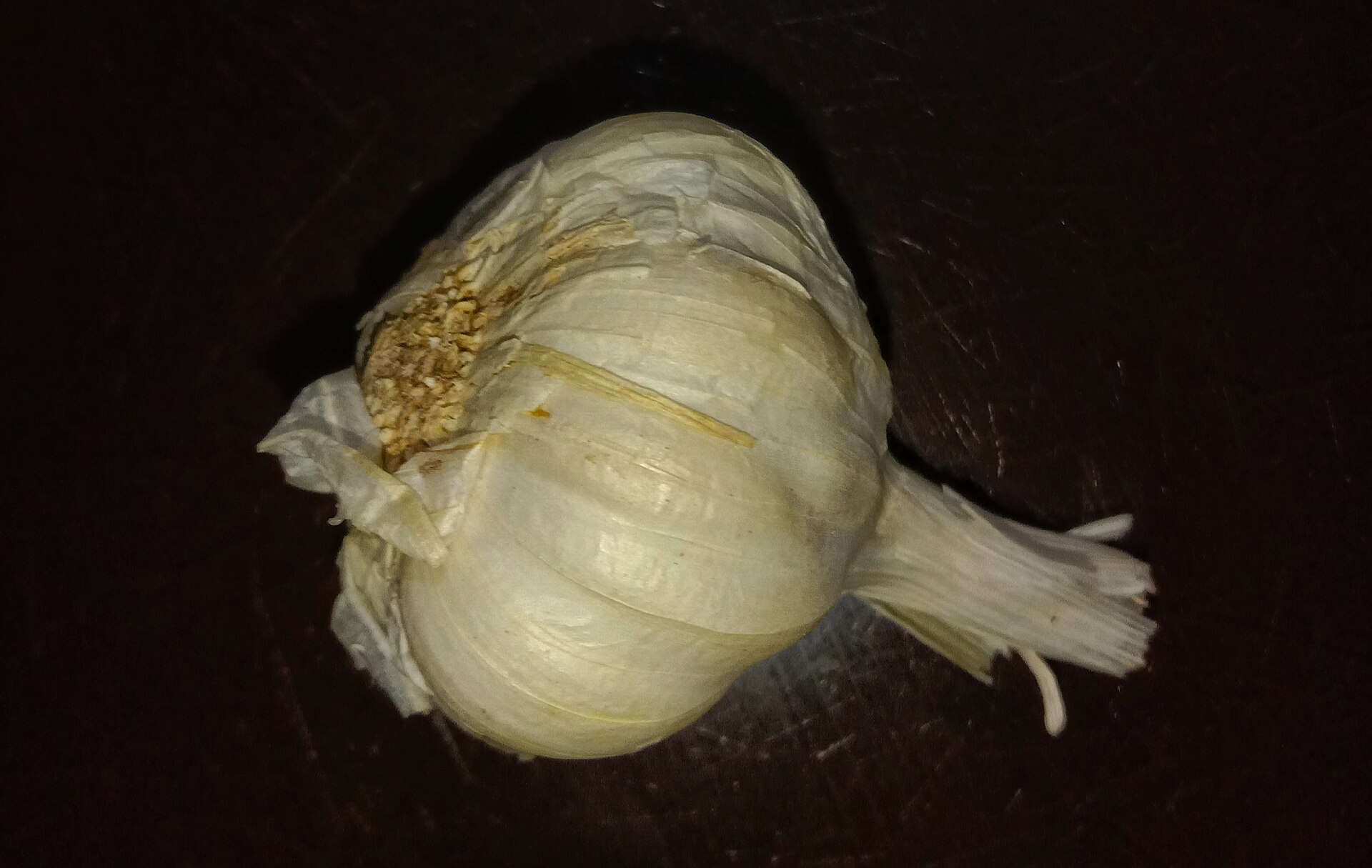Una cabeza de ajo entera con su cáscara