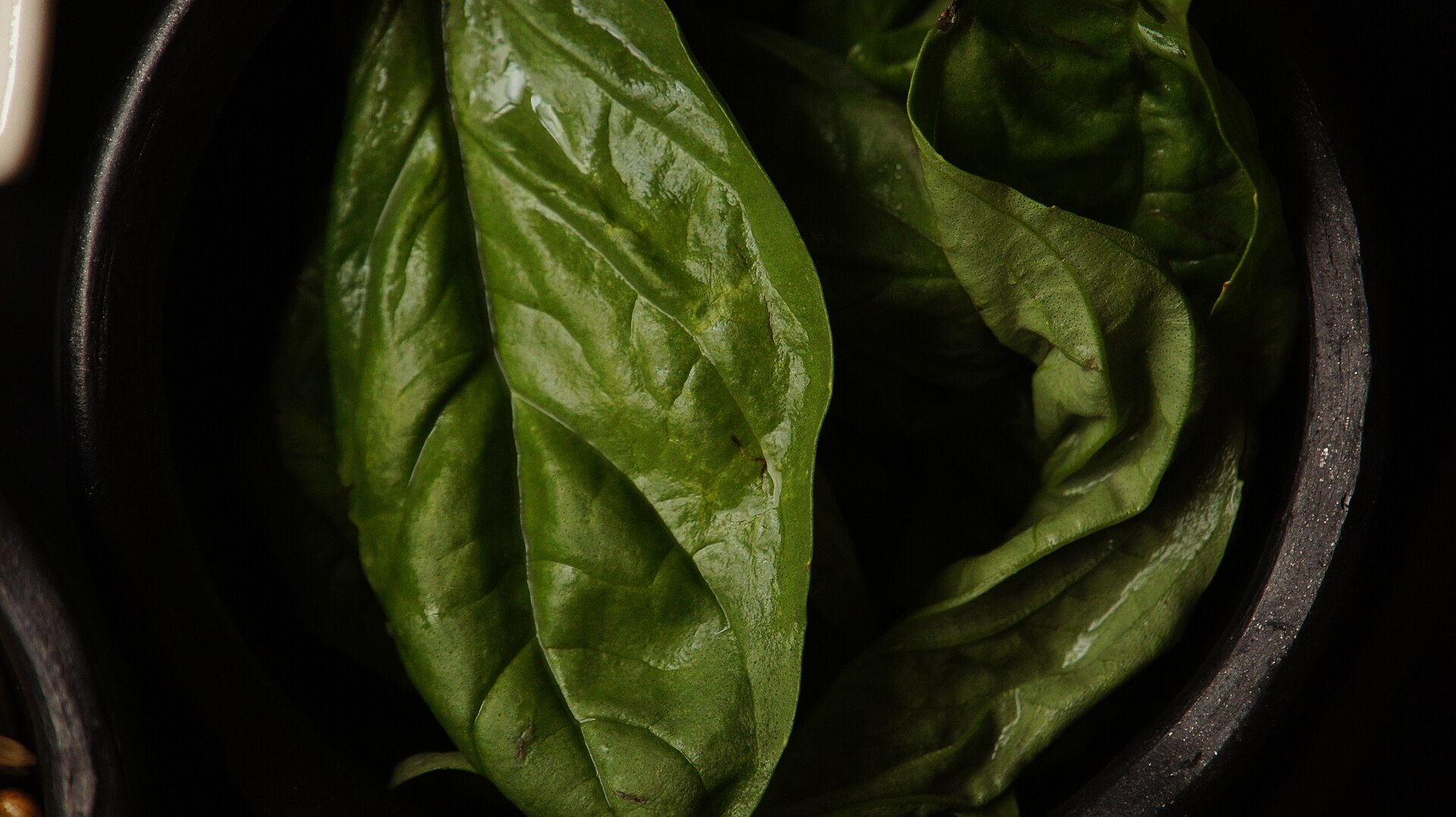 Hojas frescas de albahaca de cerca dentro de un molcajete oscuro