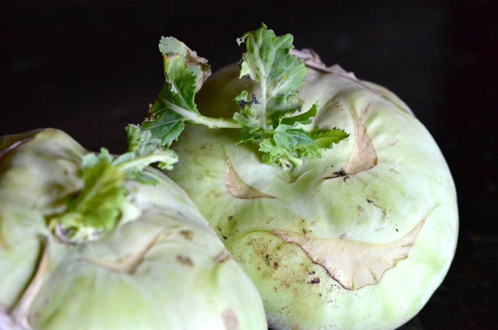 Dos bulbos de colinabo verde claro con cicatrices de hoja y hojas jóvenes