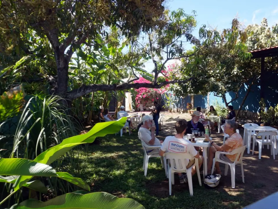 El jardín cervecero de Jalco Brewing bajo los árboles