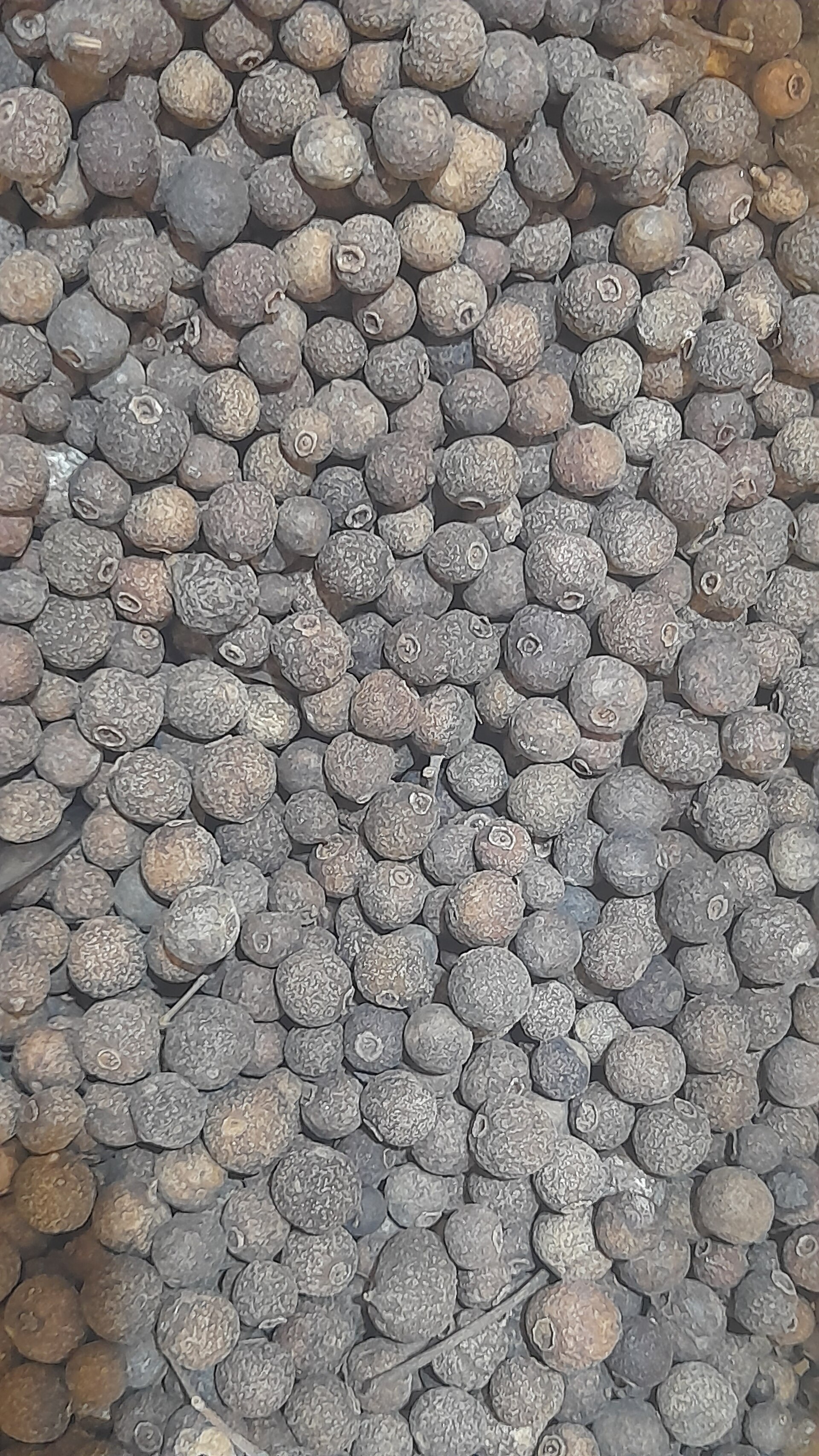 Granos secos de pimienta gorda de cerca, redondos, mates y café rojizo