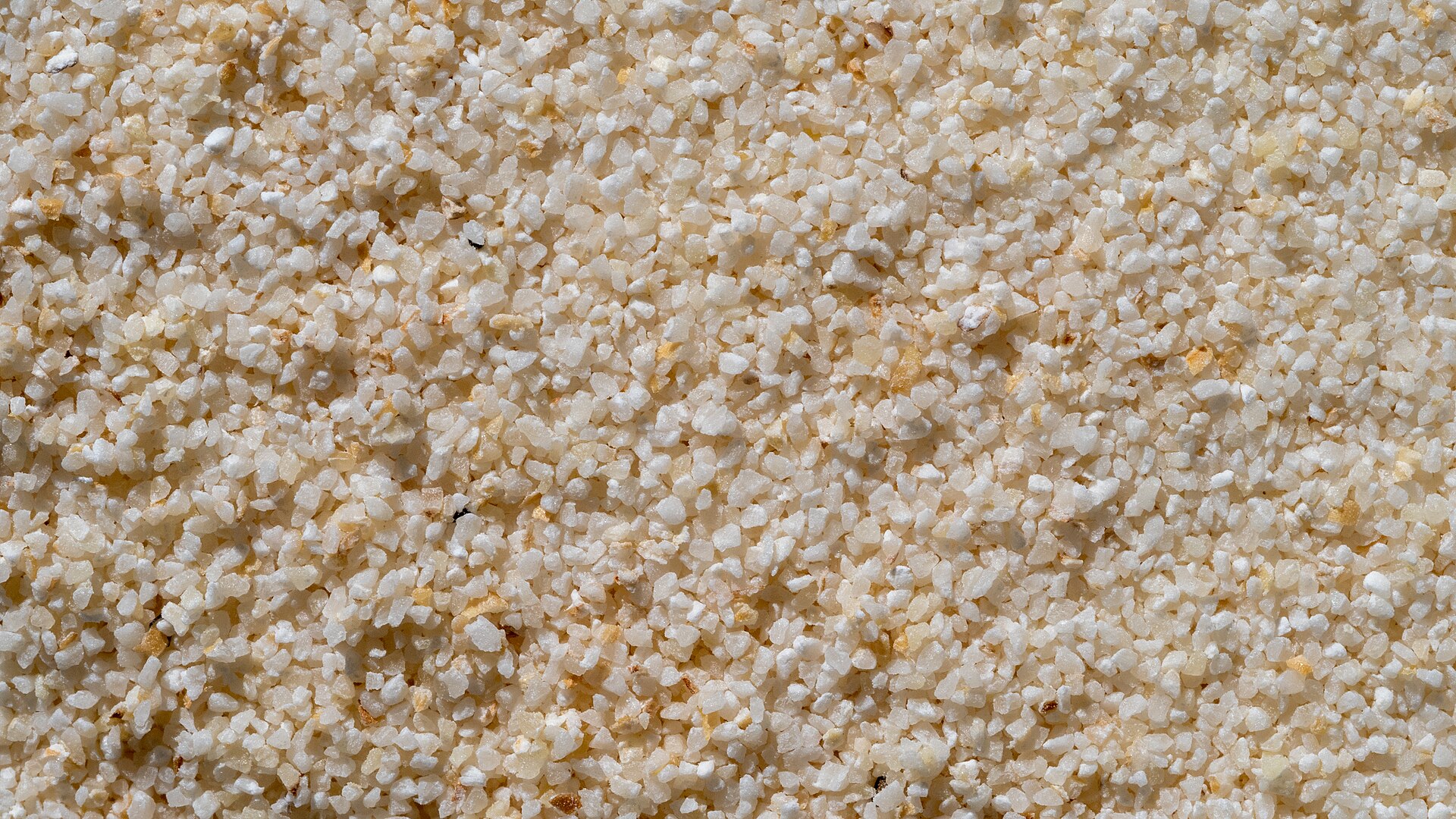 Sémola gruesa de trigo de cerca, granitos color crema muy juntos